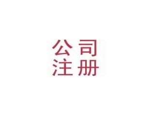 注册投资担保公司