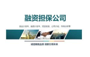 融资担保公司