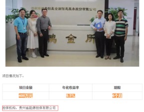易九金融项目爆雷 鹏金所或牵涉其中