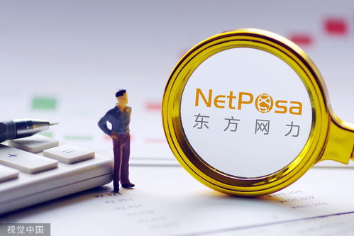 东方网力 300367 投资者诉讼金额达1384万元,索赔仍在进行中