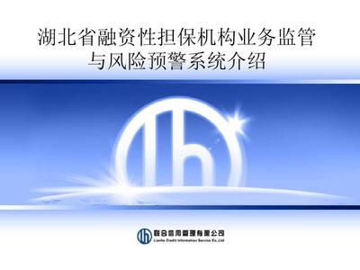 湖北省融资性担保机构业务监管与风险预警系统简介PPT_word文档在线阅读与下载_免费文档