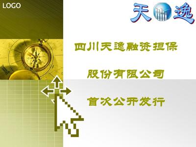 担保公司上市路演ppt