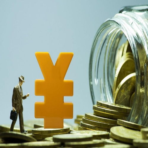 融资担保公司注册条件流程